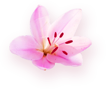 full body massage parlour